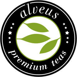 alveus